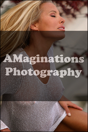 Amaginations Photography Nippy